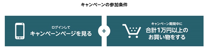 amazonブラックフライデー5000円還元キャンペーン参加条件